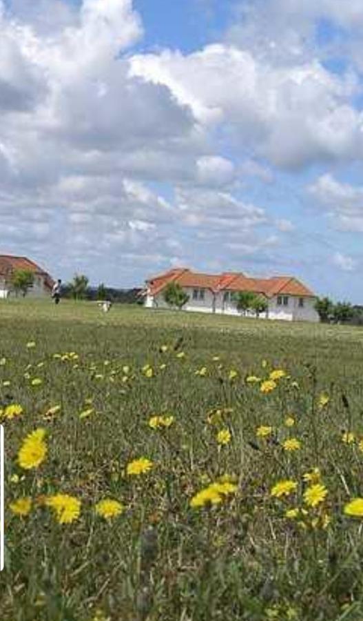 Ferienapartment Wiese&Meer auf Rügen Neddesitz Exterior foto